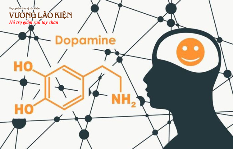 Cách làm tăng Dopamine là mối quan tâm hàng đầu của người bệnh Parkinson